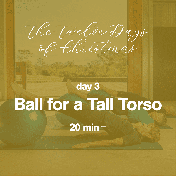 12 Days of Christmas Day 3 Ball for a Tall Torso