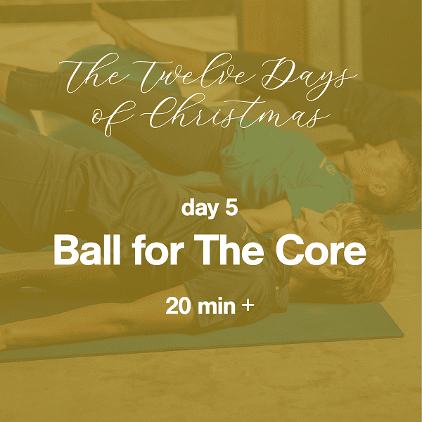 12 Days of Christmas Day 5 Ball for the Core