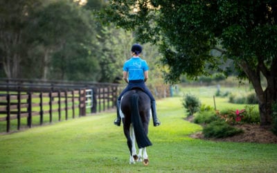 Lower Body Warmup Routine for Equestrians