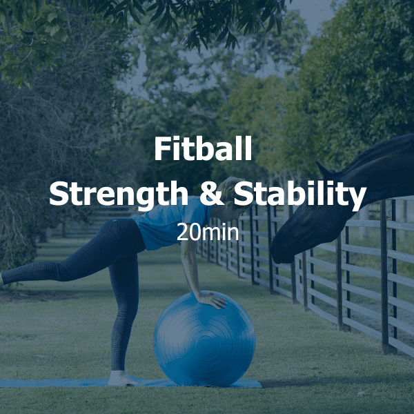 Fitball Strength & Stability 2024-04-29