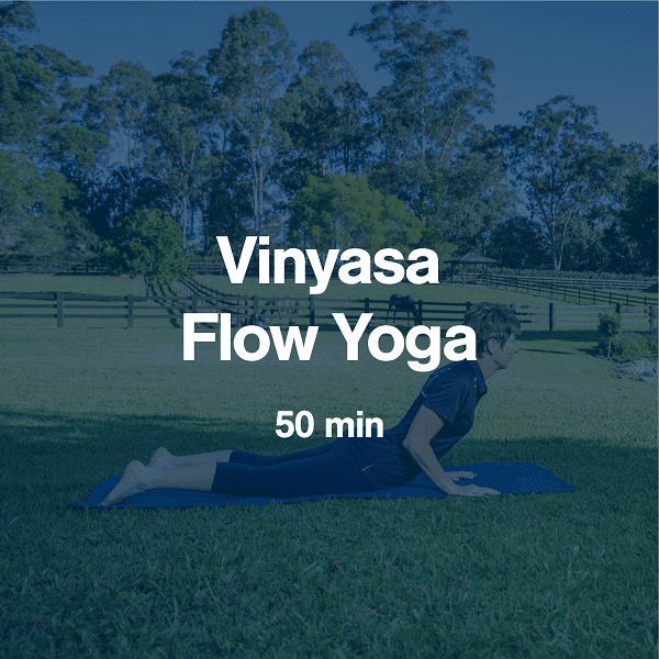 Vinyasa Flow Yoga 2021-01-18