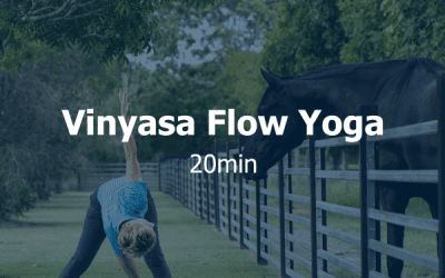 Vinyasa Flow Yoga 2024-04-05